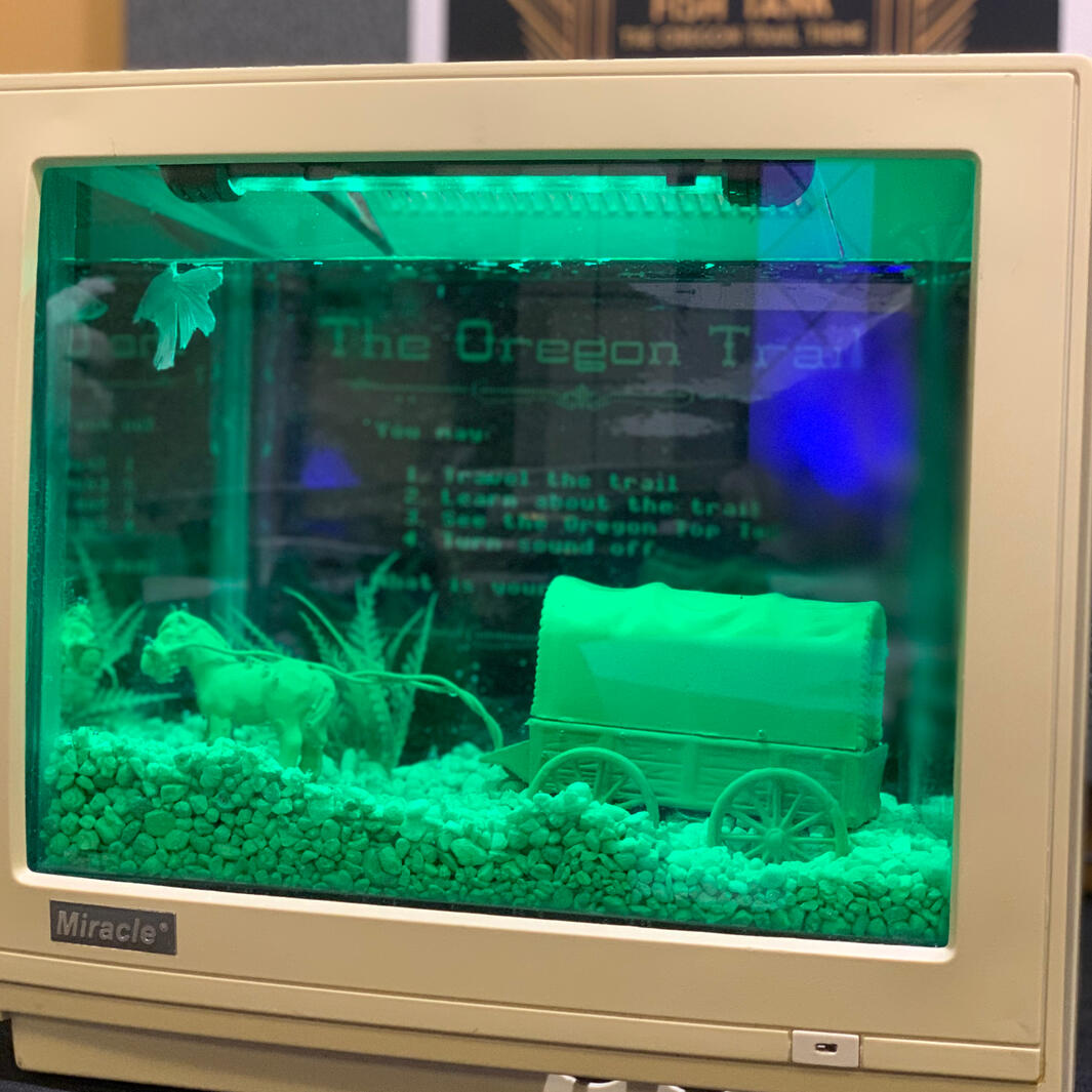 Comes with all accessories and white Beta Fish